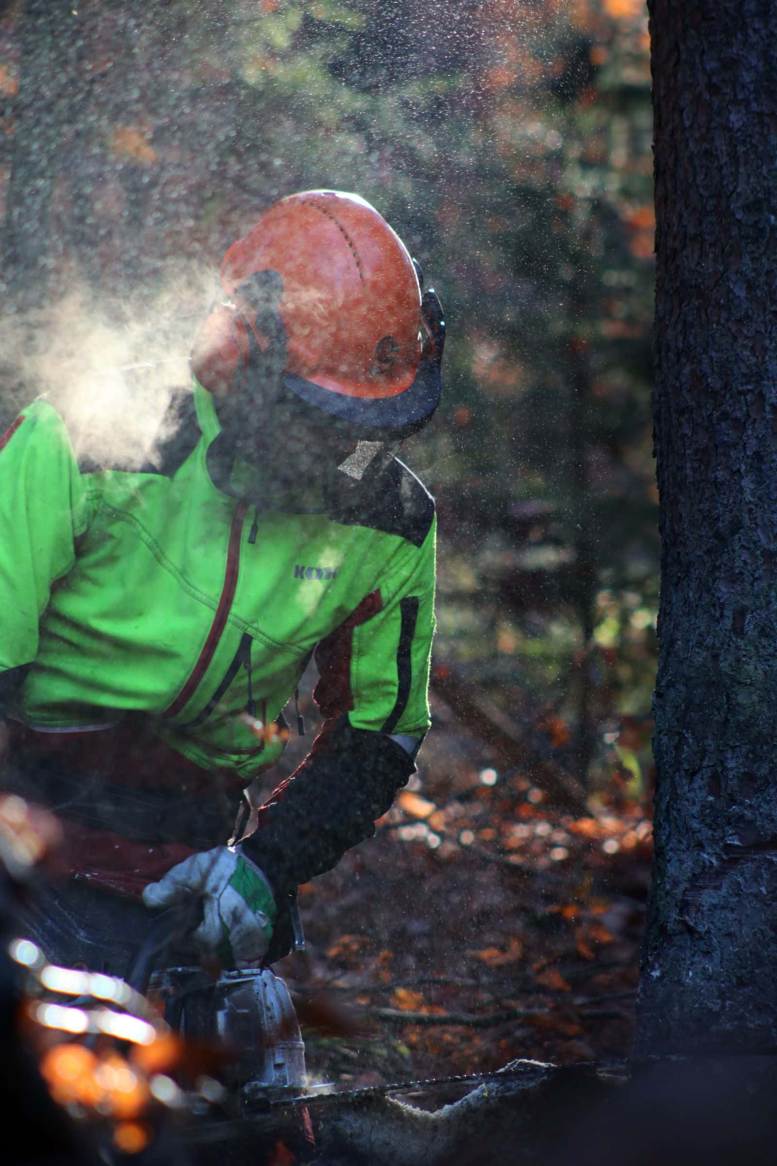 Tree worker in a helmet with ear protection and a face screen