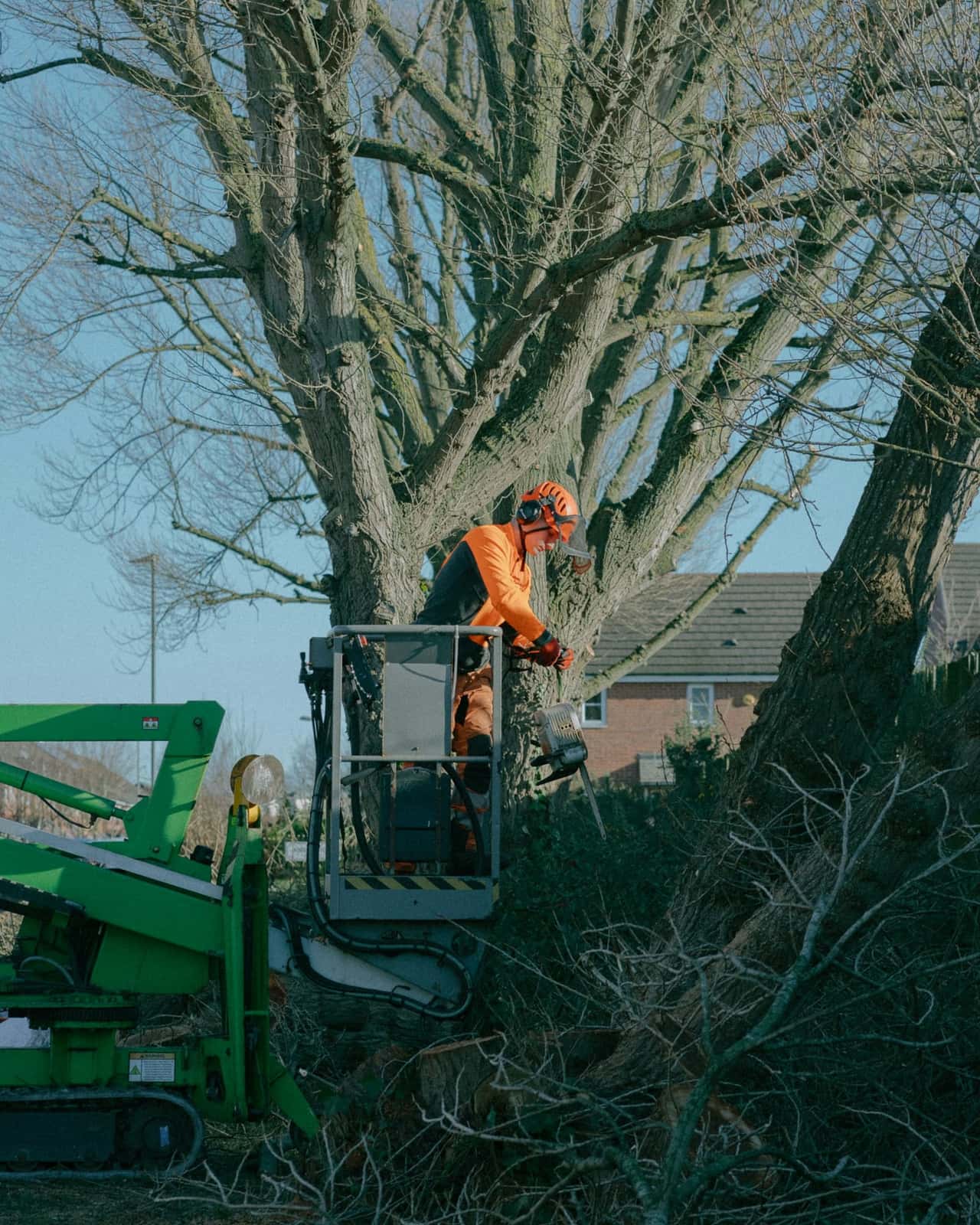 Arborist in an aerial lift cutting a tree beside houses, with brush piled below