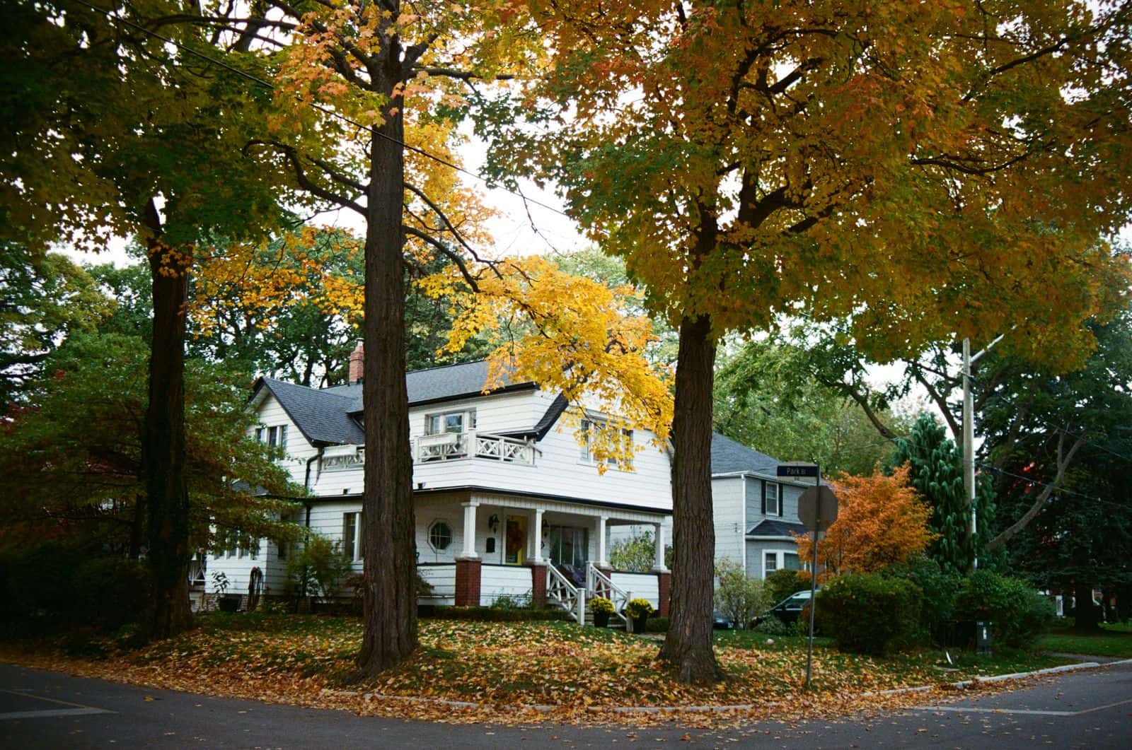 White house surrounded by tall trees in fall color