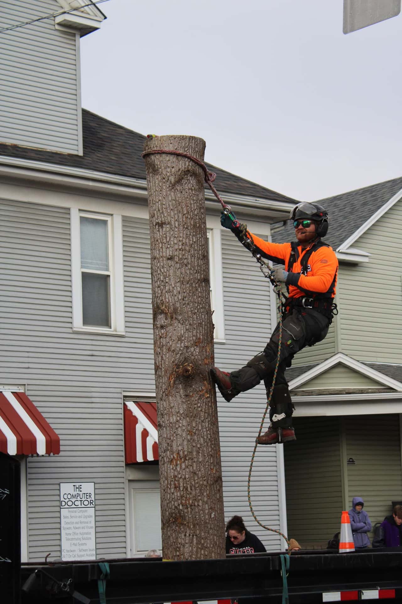 Arborist in a helmet and harness climbing a tree trunk next to a two-story house