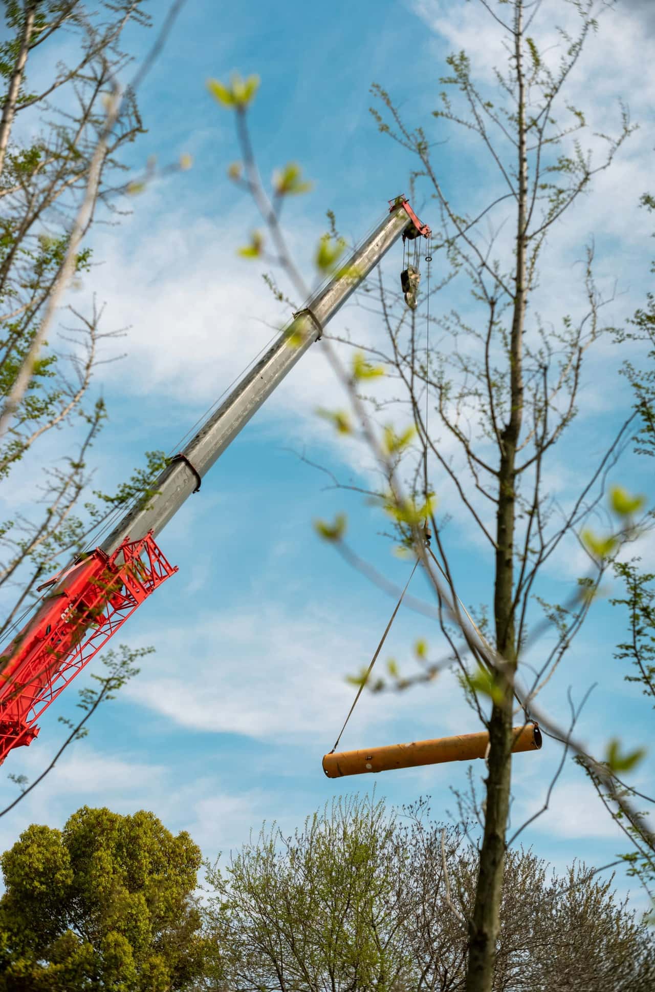 Crane boom lifting a cut log section away from a tree