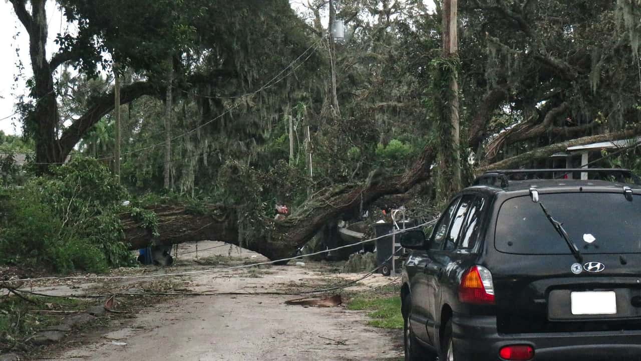 Large moss-draped oak fallen across a residential street next to a parked car