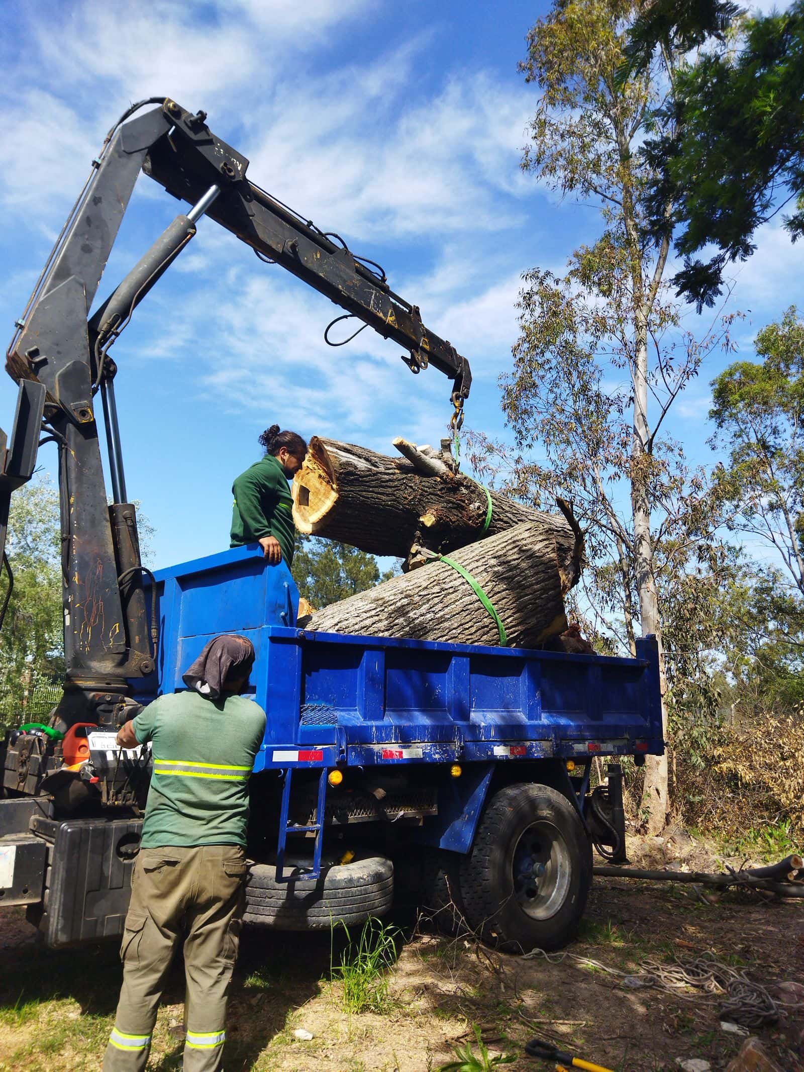 Knuckle-boom loader lifting a large log section into a dump truck